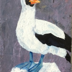 " Seagull" oil on wood by Abe Nolan sold!